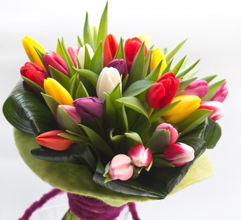 Mazzo di 50 tulipani assortiti