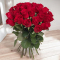 Mazzo di 12 rose rosse
